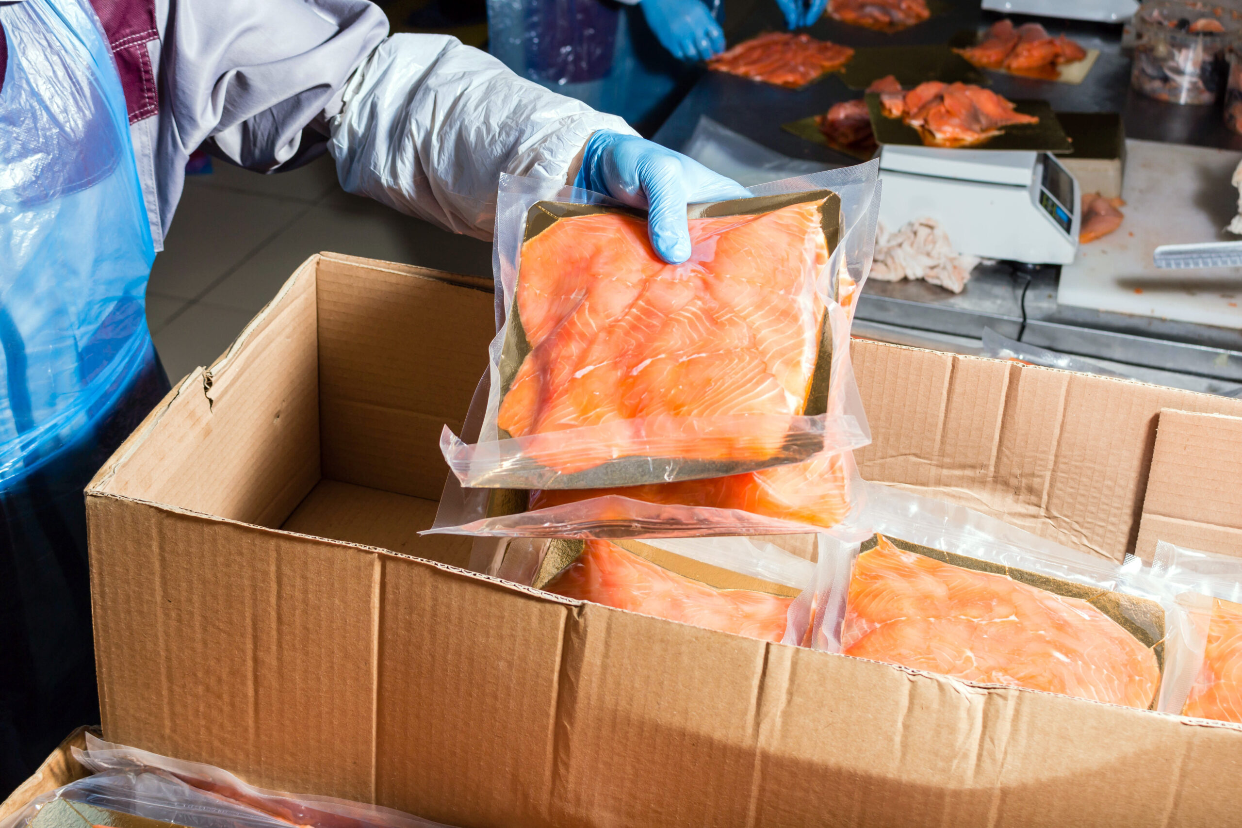 Your Complete Guide to Frozen Food Warehousing